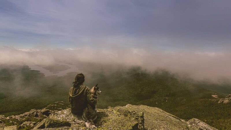 외환 거래 전광판 | source_hash:99925dcb3323eff86a6a6b0b93df3d21b6ad10bf