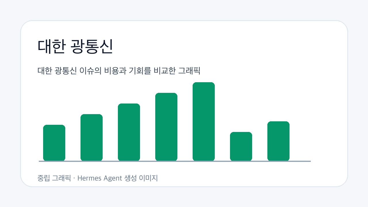 대한 광통신 이슈의 비용과 기회를 비교한 그래픽