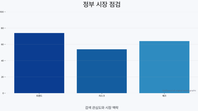 정부 시장 점검 자체 제작 그래픽