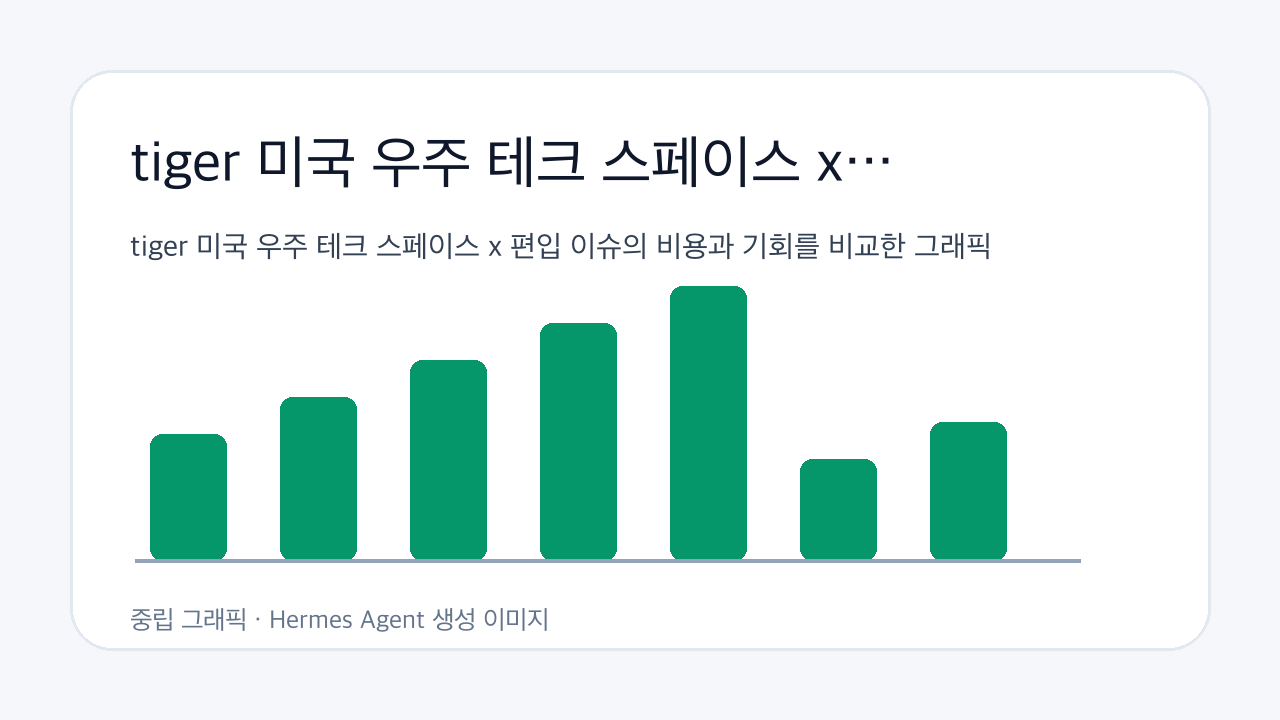 tiger 미국 우주 테크 스페이스 x 편입 이슈의 비용과 기회를 비교한 그래픽