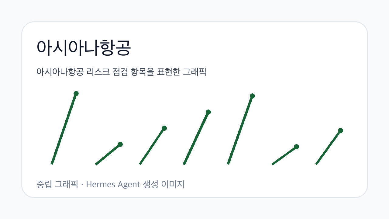 아시아나항공 리스크 점검 항목을 표현한 그래픽