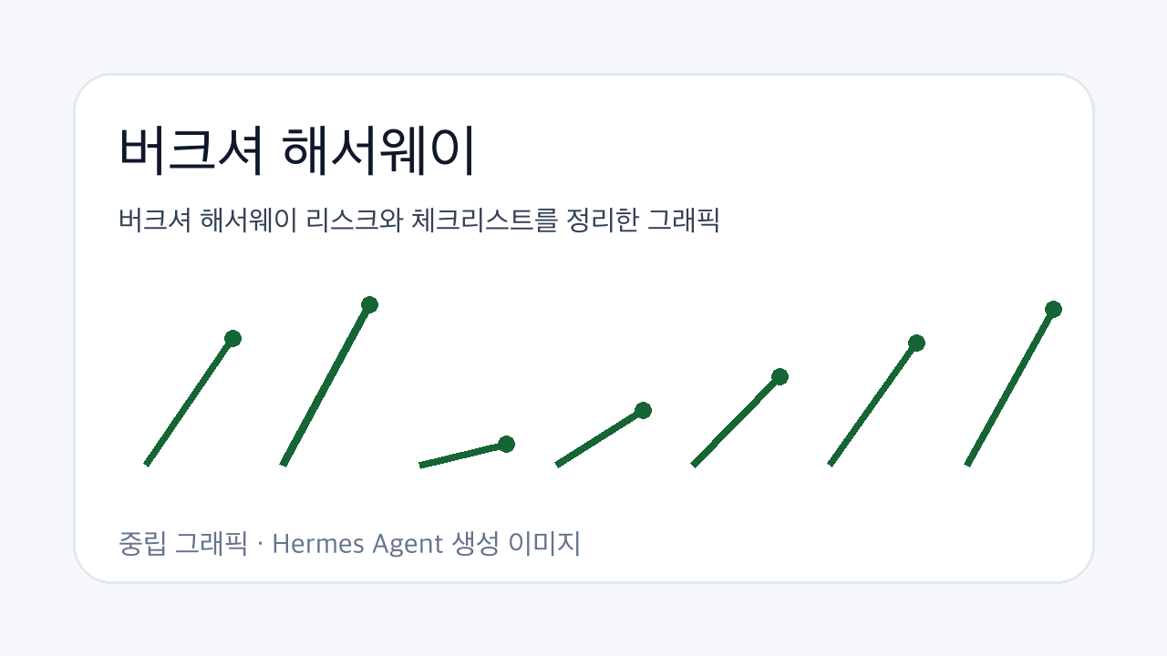 버크셔 해서웨이 리스크와 체크리스트를 정리한 그래픽