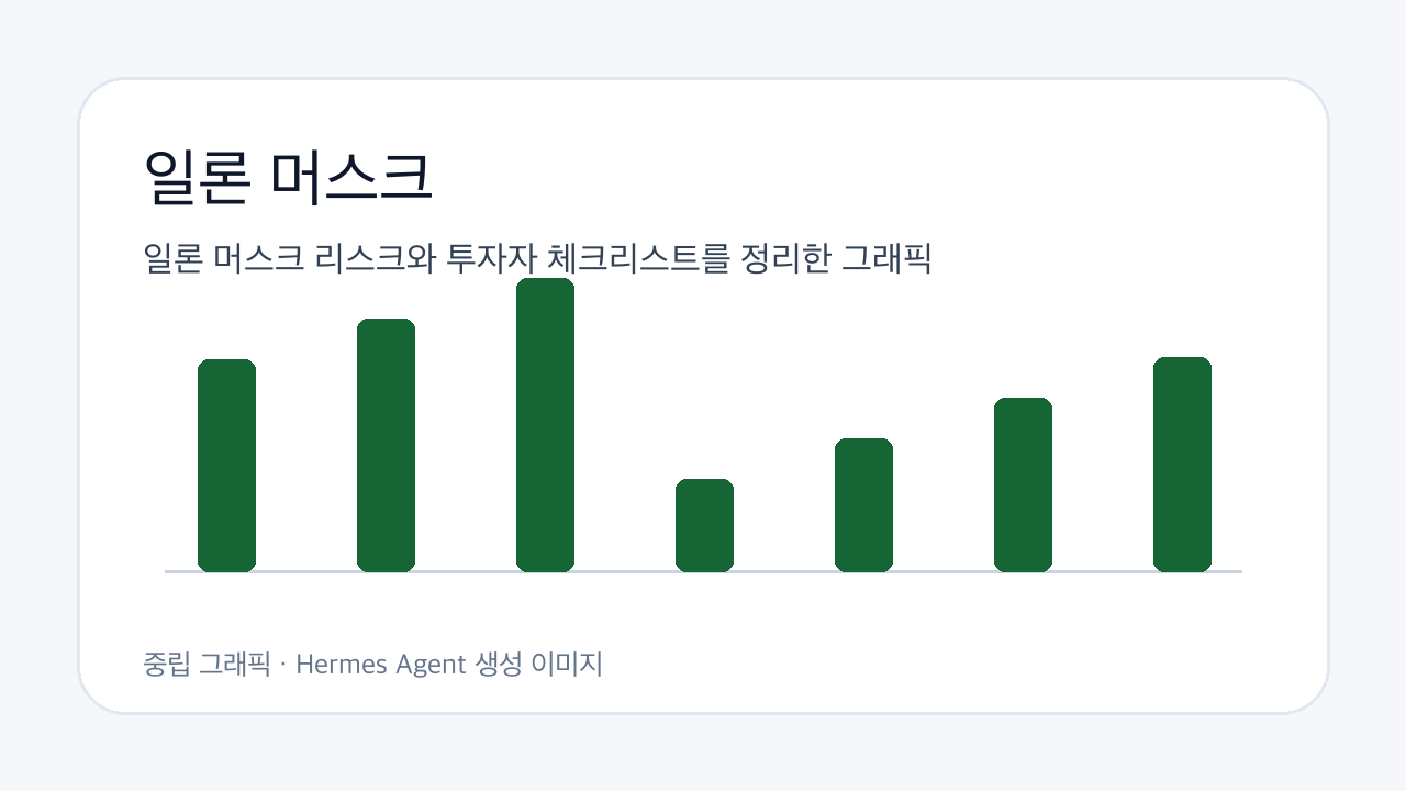일론 머스크 리스크와 투자자 체크리스트를 정리한 그래픽
