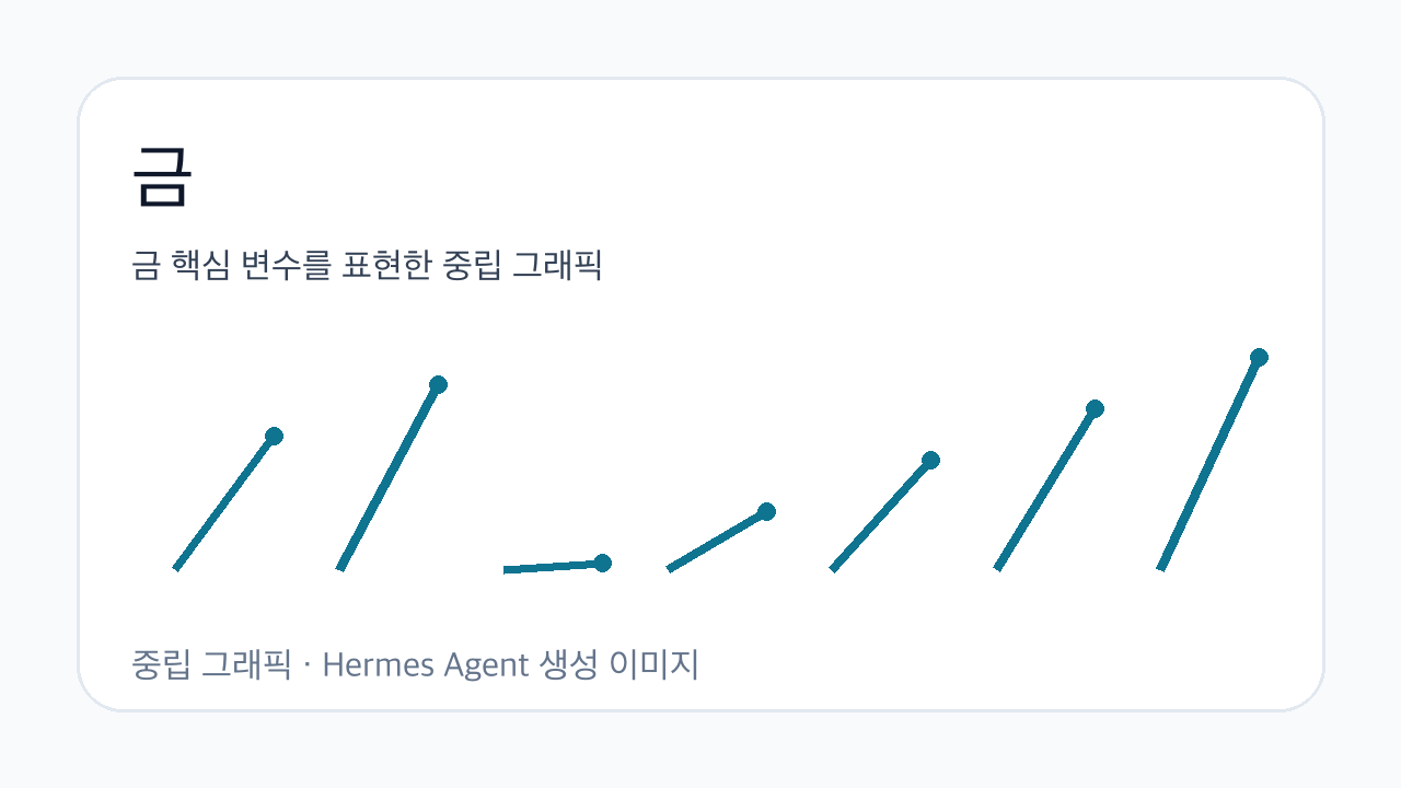 금 핵심 변수를 표현한 중립 그래픽