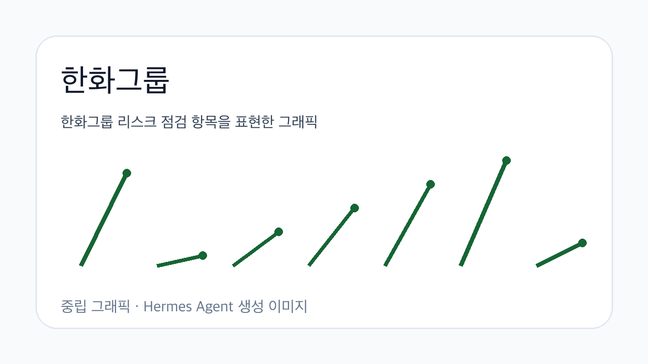 한화그룹 리스크 점검 항목을 표현한 그래픽