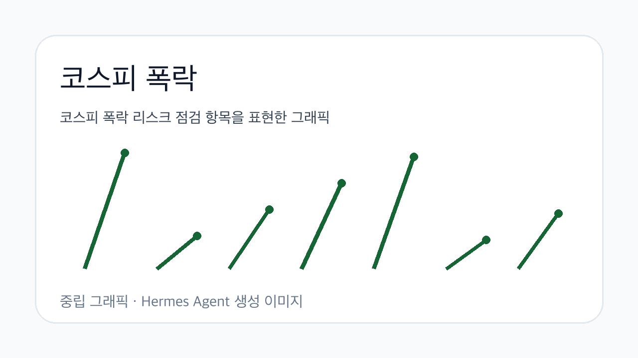코스피 폭락 리스크 점검 항목을 표현한 그래픽