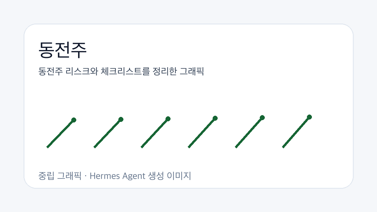 동전주 리스크와 체크리스트를 정리한 그래픽