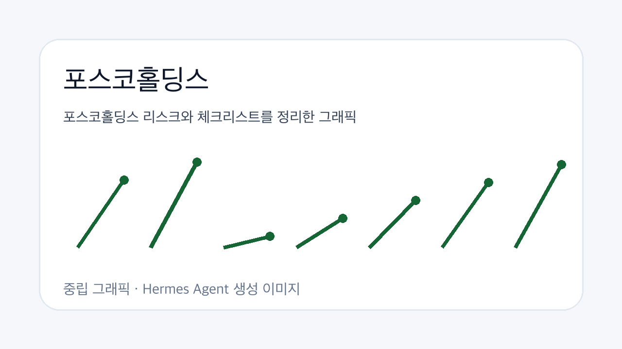 포스코홀딩스 리스크와 체크리스트를 정리한 그래픽
