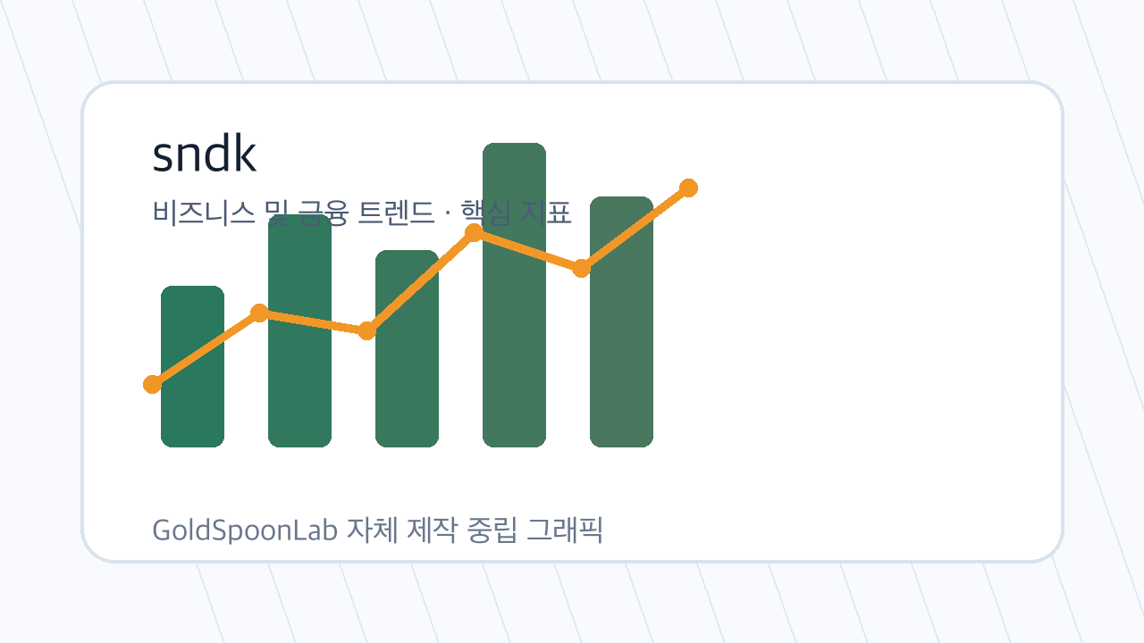 sndk 관련 시장 분석 그래픽