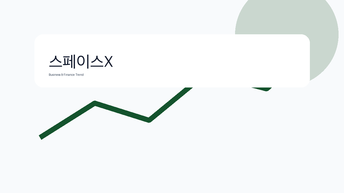 스페이스X 비즈니스 금융 트렌드 그래픽 1