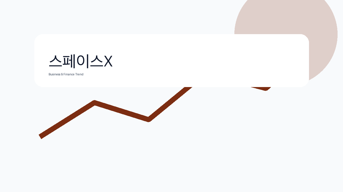 스페이스X 비즈니스 금융 트렌드 그래픽 2