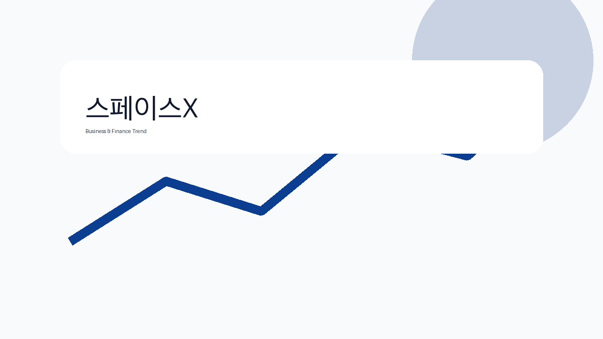 스페이스X 비즈니스 금융 트렌드 그래픽 3