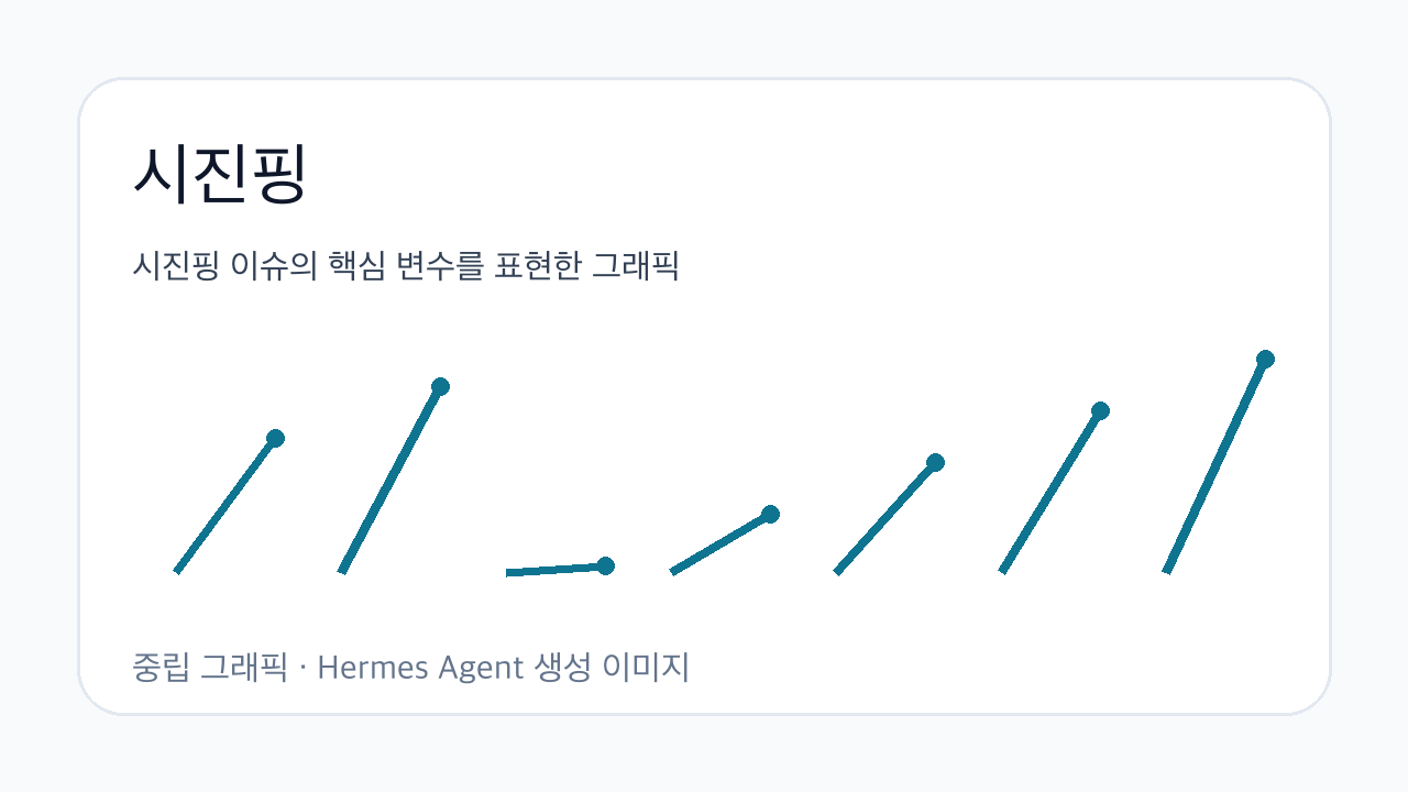 시진핑 이슈의 핵심 변수를 표현한 그래픽
