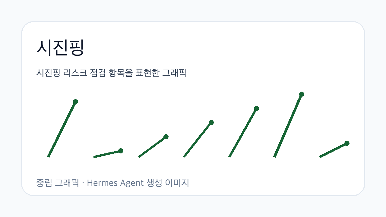 시진핑 리스크 점검 항목을 표현한 그래픽