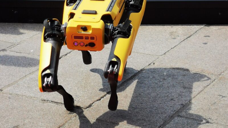 보스턴다이내믹스 트렌드와 관련된 Boston Dynamics Spot in Milano Monza Open-Air Motor Show 2022.