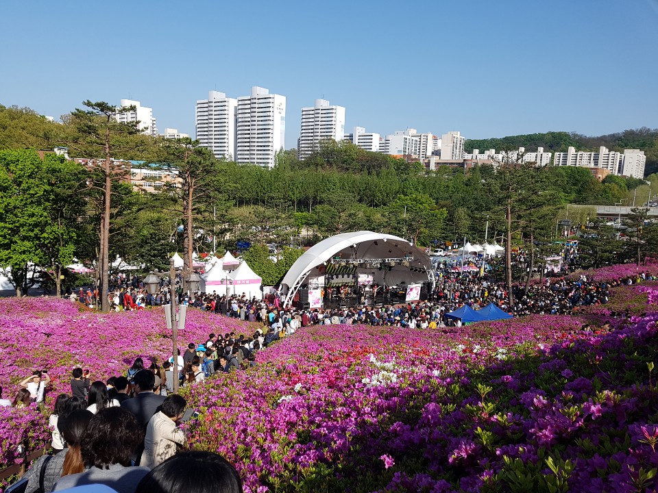 카카오 트렌드와 연결된 플랫폼·인터넷 참고 이미지 2