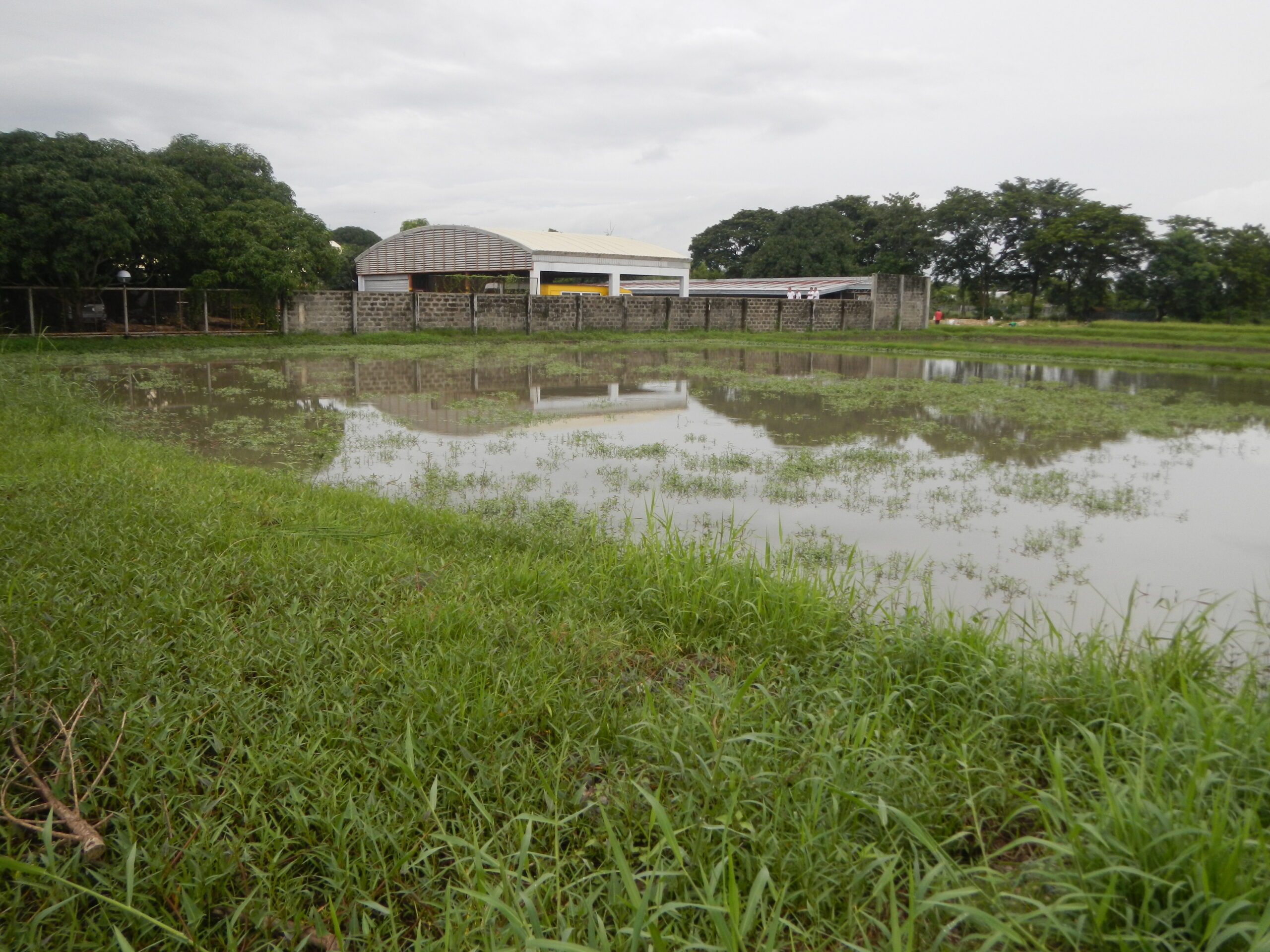 소농 트렌드를 설명하는 09427jfPhilippine Rice Research Institute Korean Projects Ecijafvf 10